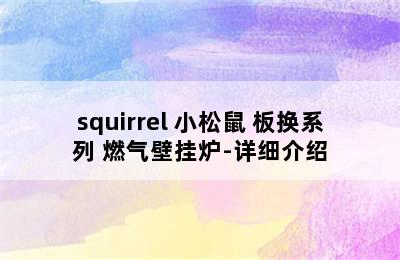 squirrel 小松鼠 板换系列 燃气壁挂炉-详细介绍